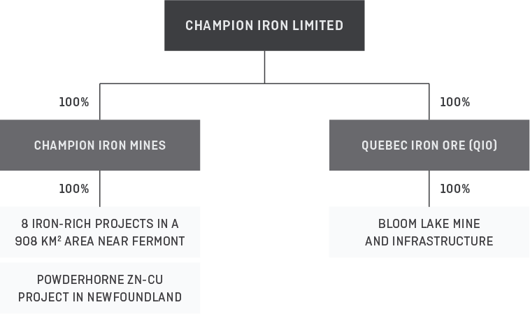 Quebec Iron Ore  Bloom Lake Mine: first-grade iron in Fermont